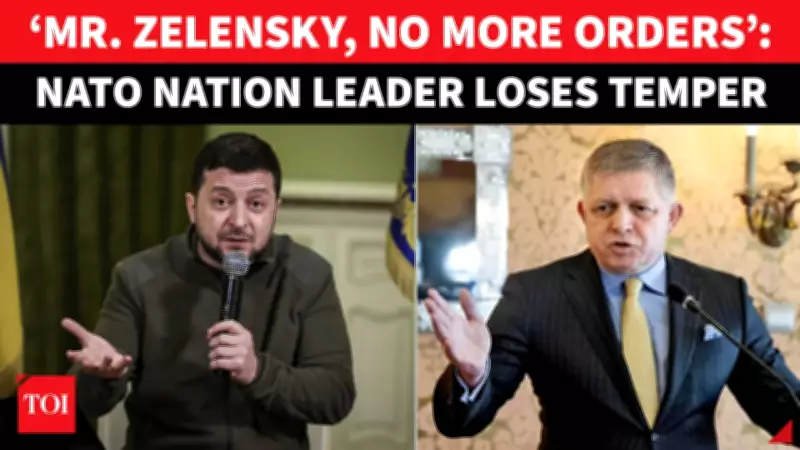 Slovak PM Fico Blasts Zelensky, EU Sanctions: 'We Are Not Ukraine's Servants'