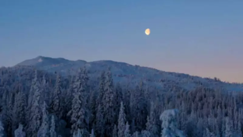 Snow Moon 2026: Zodiac-Specific Do's and Don'ts for the Auspicious Full Moon