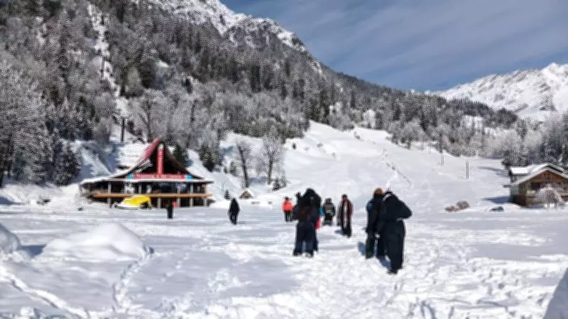Solang Valley Thrives with Skiing and Snowboarding as Fresh Snowfall Boosts Tourism