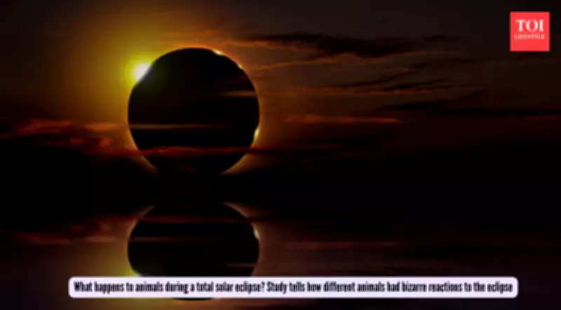 Solar Eclipse Study Reveals Bizarre Animal Reactions to Sudden Darkness