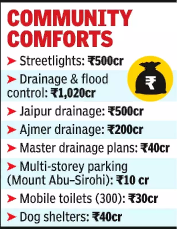 State Budget Allocates Billions for Urban Infrastructure and Digital Services