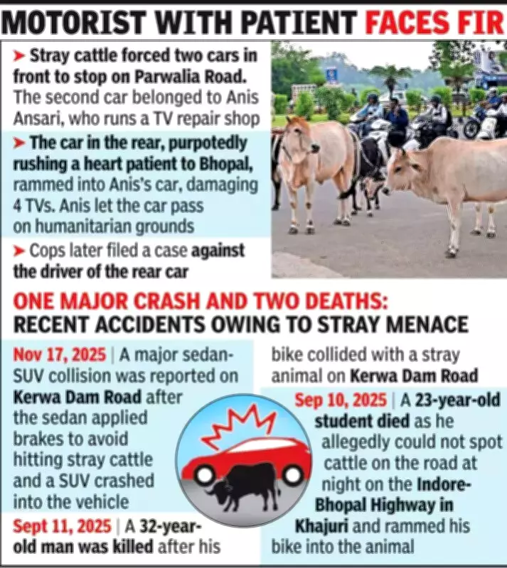 Stray Cattle Cause Chain Collision Near Bhopal, Heart Patient's Car Involved