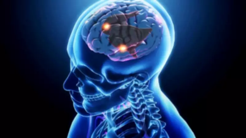 Study Reveals 58 Genetic Variants Influence Anxiety Risk, Not a Single Gene