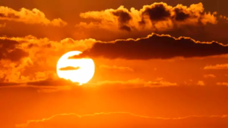 Sun Transits into Aquarius in 2026: Astrological Impact on All Zodiac Signs