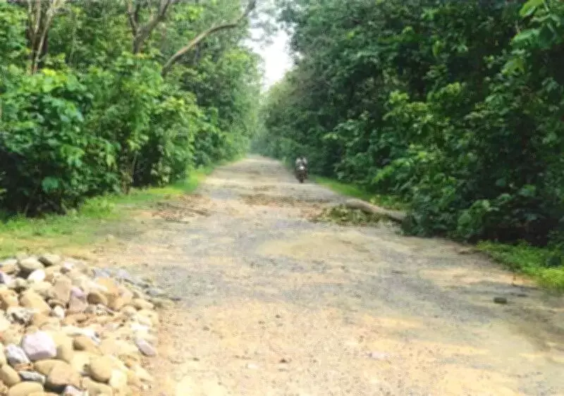 Supreme Court Allows Uttarakhand Road Paving for Villages, Bans Commercial Vehicles