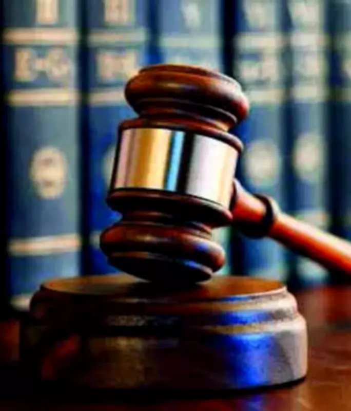 Supreme Court Grants Goa NGO 2 Weeks to Respond on Tiger Reserve Proposal