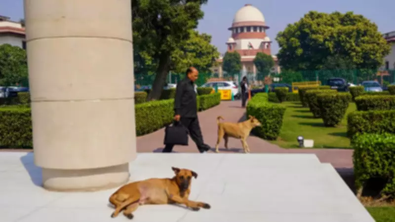 Supreme Court's Stray Dog Order Sparks Constitutional Debate Over Parliamentary Law