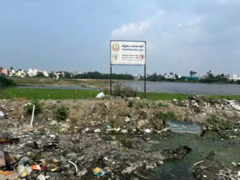 Tambaram's Polluted Lakes: Sewage Crisis Threatens Water Security Despite Restoration Funds