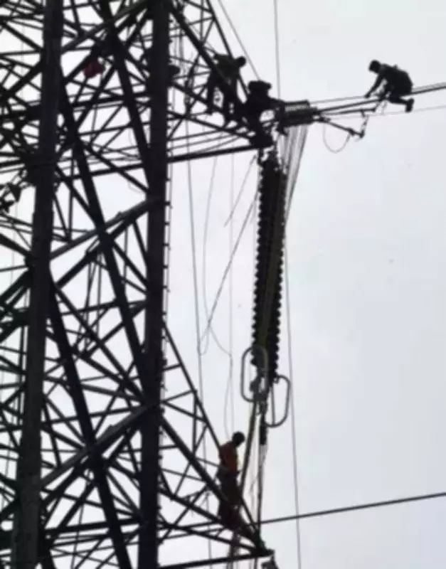 Tamil Nadu CM Stalin Inaugurates Rs 1,971 Crore Energy Projects Across State