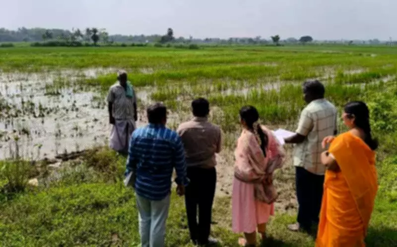 Tamil Nadu Farmers Await Crop Relief Funds Over a Month After Govt Announcement