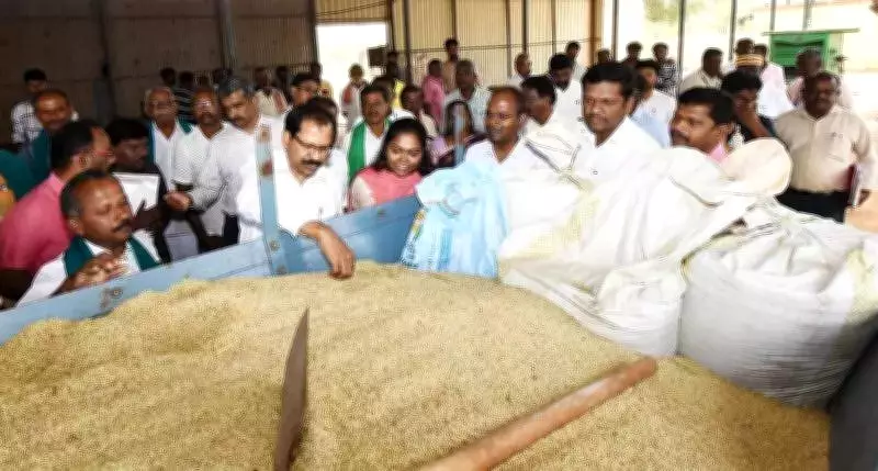 Tamil Nadu Official Inspects Paddy Procurement in Delta Districts