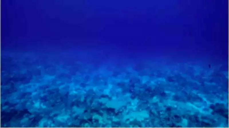Tamil Nadu's First Fishnet Recycling Center in Chennai Cuts Ocean Plastic