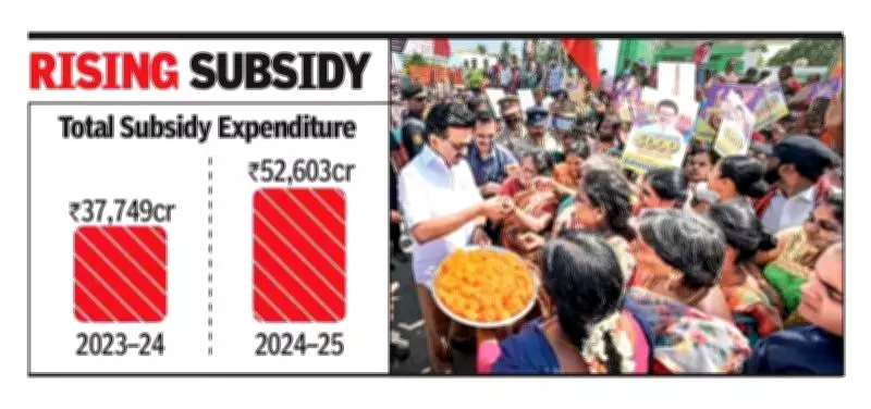 Tamil Nadu's Subsidy Spending Soars 39% in 2024-25, Led by Welfare Schemes
