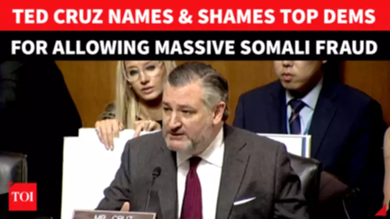 Ted Cruz Accuses Minnesota Democrats of Complicity in Somali-Linked Fraud Scheme