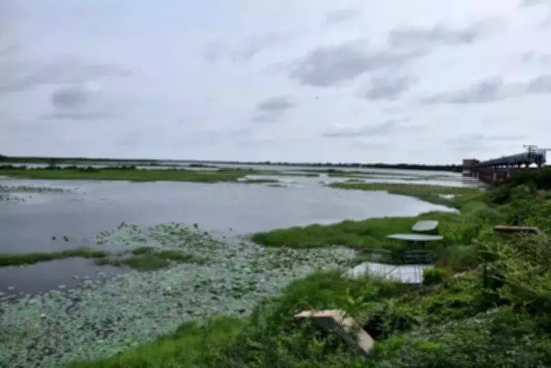 Telangana's Ramsar Site Quest: Why the State Lacks International Wetland Recognition