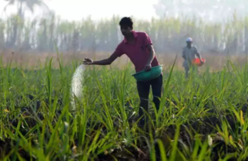 Telangana's Urea Booking App Gains Momentum, 12.73 Lakh Farmers Participate