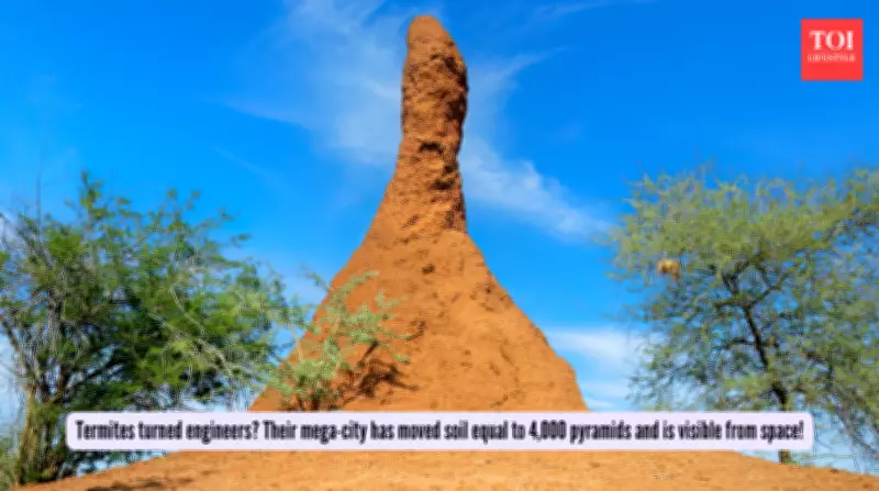 Termites: From Homewreckers to Master Builders of Mega-Structures