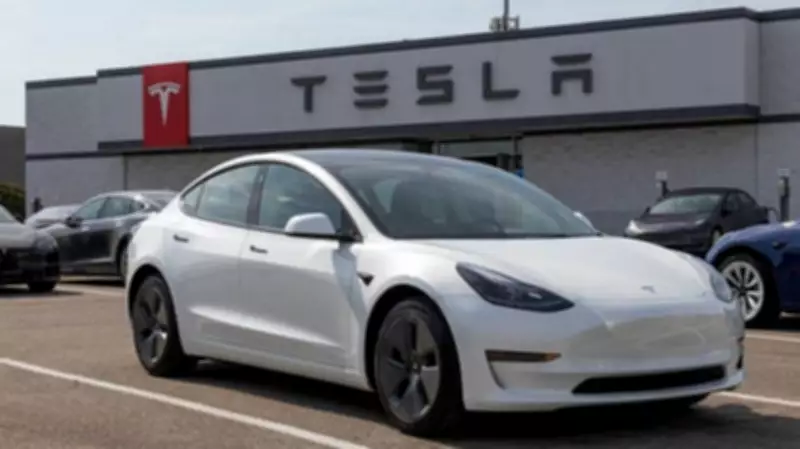 Tesla India Launches EMI, Exchange & Incentive Program to Boost EV Sales