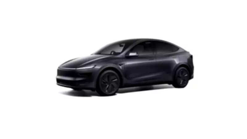 Tesla Launches Dumas Art Project Pop-Up in Surat, Showcases Model Y