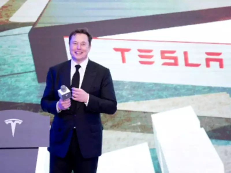 Tesla's European Sales Slump Deepens in January, Market Share Drops to 0.8%