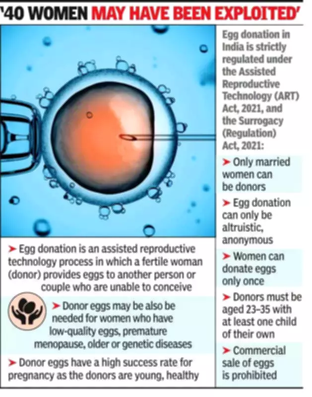 Thane Police Bust Illegal Human Egg Racket, Arrest 3 Women in Badlapur