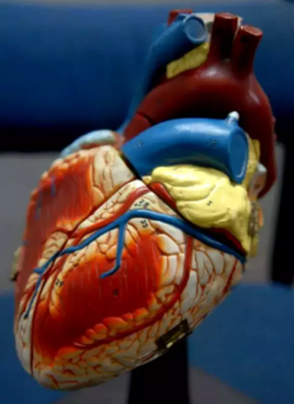 Thane Traffic Police Creates Green Corridor for Heart Transplant on Valentine's Day