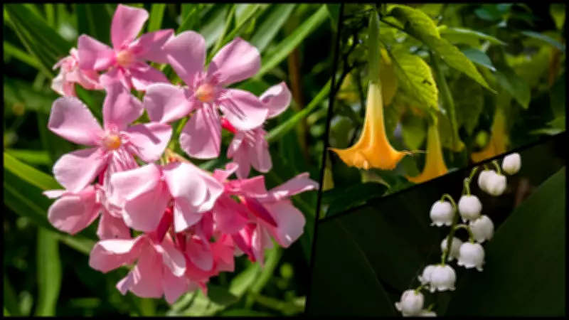 The Deadly Scent: Six Popular Flowers That Pose Serious Health Risks