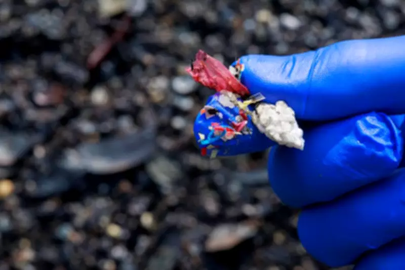 The Unfiltered Threat: How Microplastics Invade Our Bodies and Environment