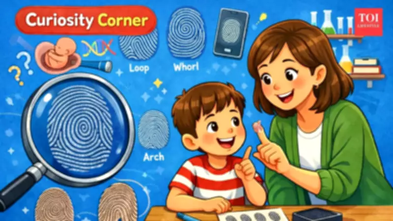 The Unique Science of Fingerprints: How Your Personal Mark Forms and Functions