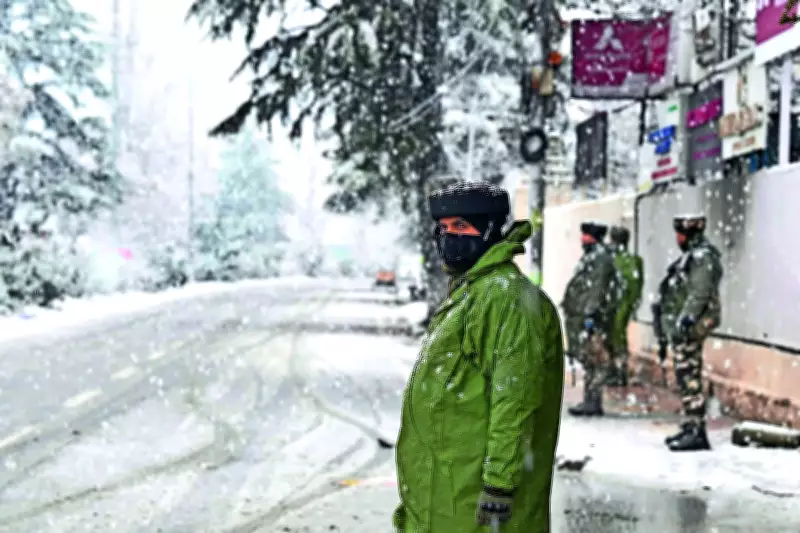 Three Terrorists, Including JeM Commander, Killed in Jammu Forest Gunfights