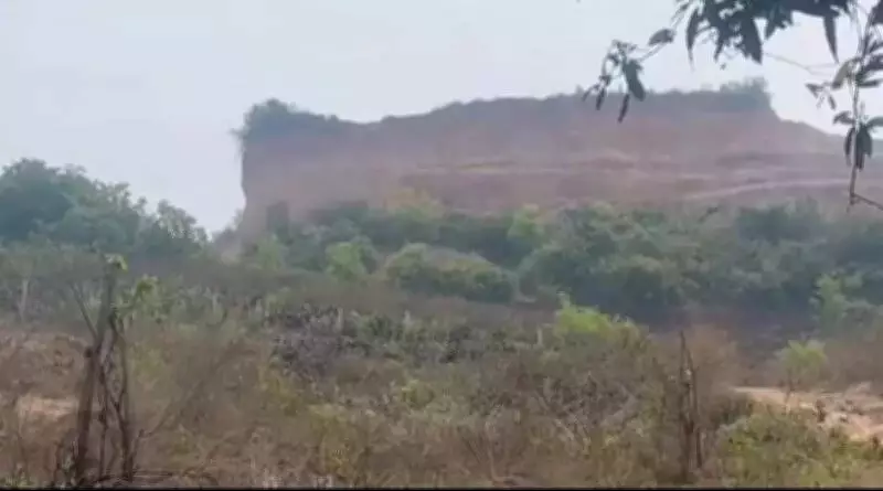 Tiger from Maharashtra Sparks Panic in Rajahmundry, Expert Team En Route