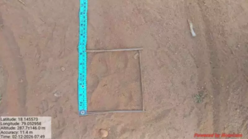 Tiger Movement in Siddipet Prompts Forest Department Surveillance Intensification