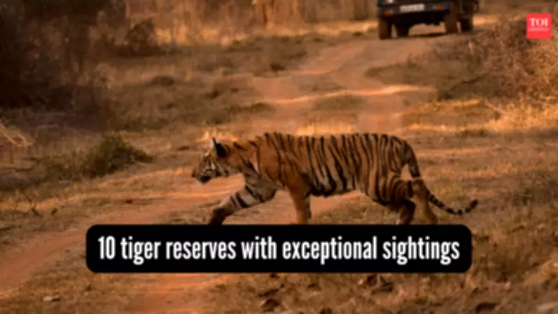 Top 10 Tiger Reserves in India with Exceptional Sighting Records