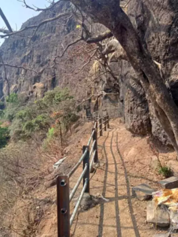 Tourist's Death at Rajgad Fort Exposes Critical Safety Gaps in Maharashtra Heritage Sites