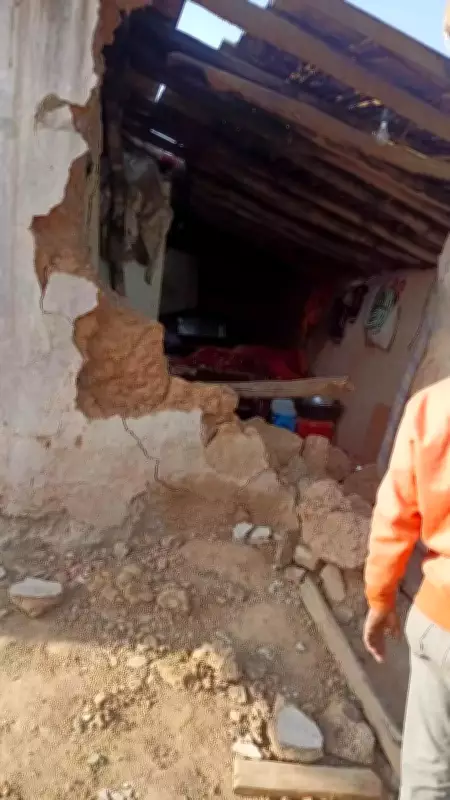 Tragic Elephant Attack in Hazaribag Village Claims Seven Lives, Including Two Toddlers