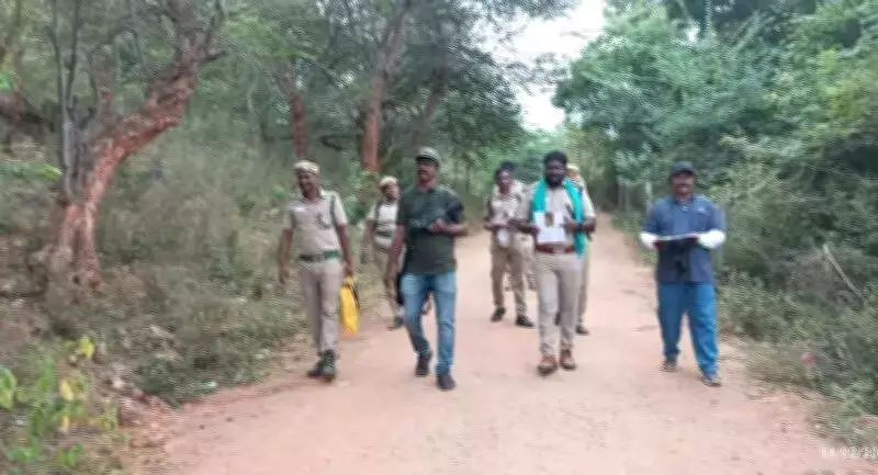 Trichy Forest Census Records Over 100 Terrestrial Bird Species