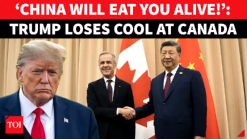 Trump Threatens Canada Over Gordie Howe Bridge, Demands 'Full Compensation'