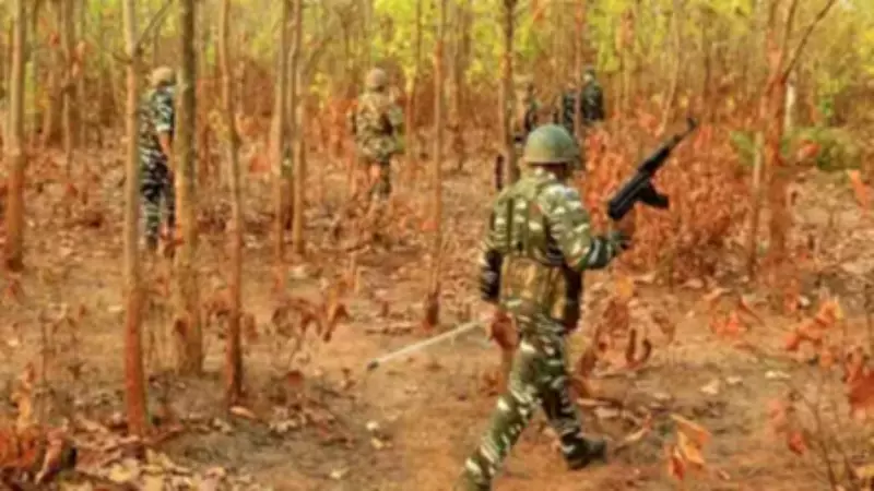 Two Maoists Killed in Encounter with Security Forces in Chhattisgarh's Bijapur