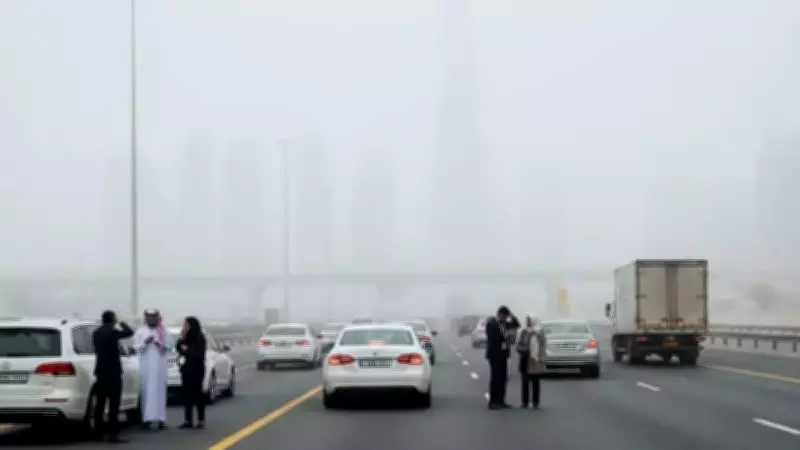 UAE's 'Red Alert' Fog Crisis: Zero Visibility Grips Emirates, Disrupts Travel