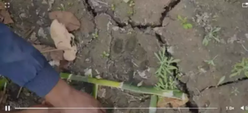 Udanti-Sitanadi Tiger Reserve Records Tiger Movement After Corridor Restoration