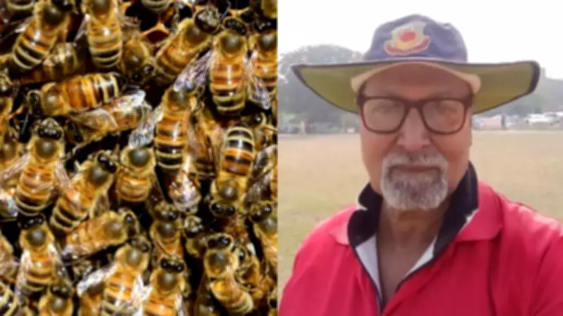 Umpire Manik Gupta Dies After Bee Attack During Under-13 Cricket Match in Unnao