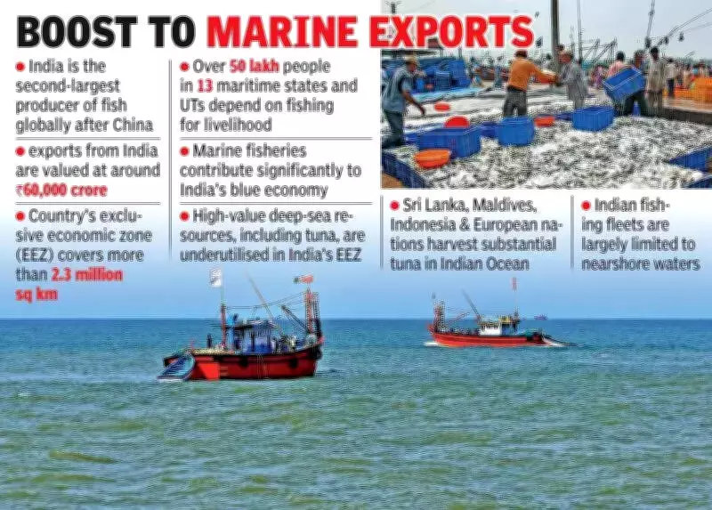 Union Budget 2024: Duty-Free Fish from EEZ to Boost Andhra's Marine Exports