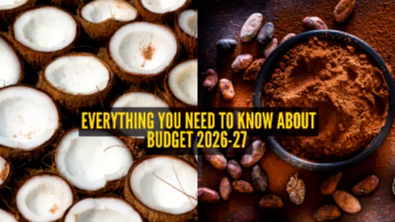 Union Budget 2026: Coconut, Chocolate, and High-Value Crops Get Major Boost