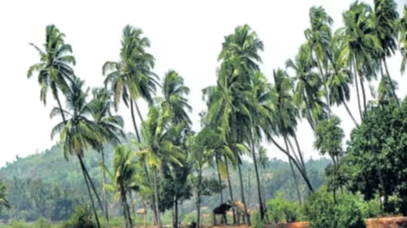 Union Budget 2026: Government Prioritizes Coconut, Cashew, Cocoa in Agriculture Push