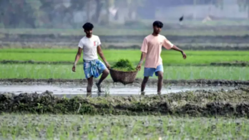 Union Budget 2026: Govt to Launch Bharat-VISTAAR AI Tool for Farmers in Local Languages
