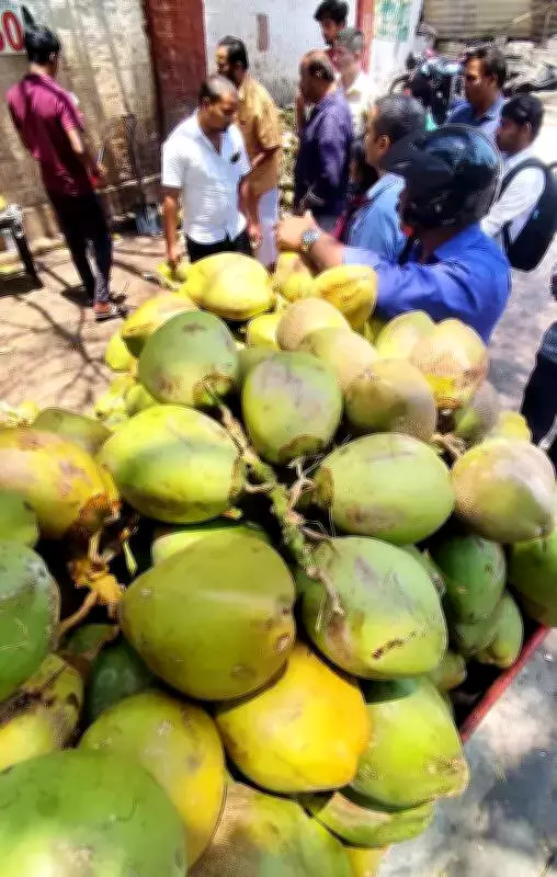Union Budget's Coconut Scheme Offers Hope to Gujarat's Struggling Farmers