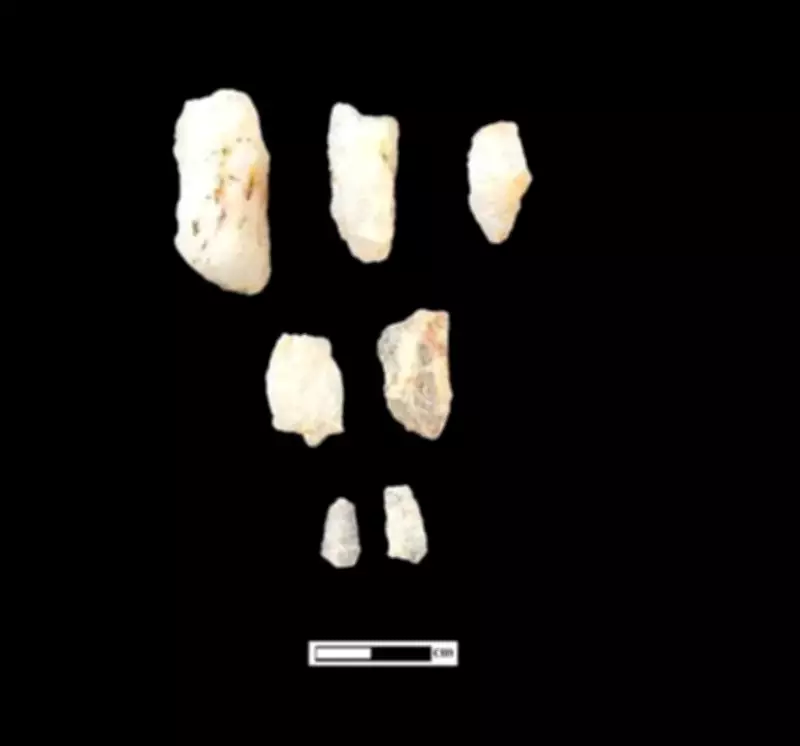 University of Madras Students Discover Major Stone Age Tool-Making Site Near Vellore