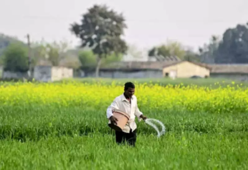 UP Plans E-Commerce App for Fertilizer Delivery to End Farmer Queues