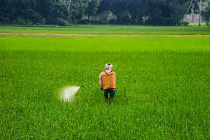 Urea Bag Weight & Nutrient Reduction to Hike Farmers' Costs: Expert Warns