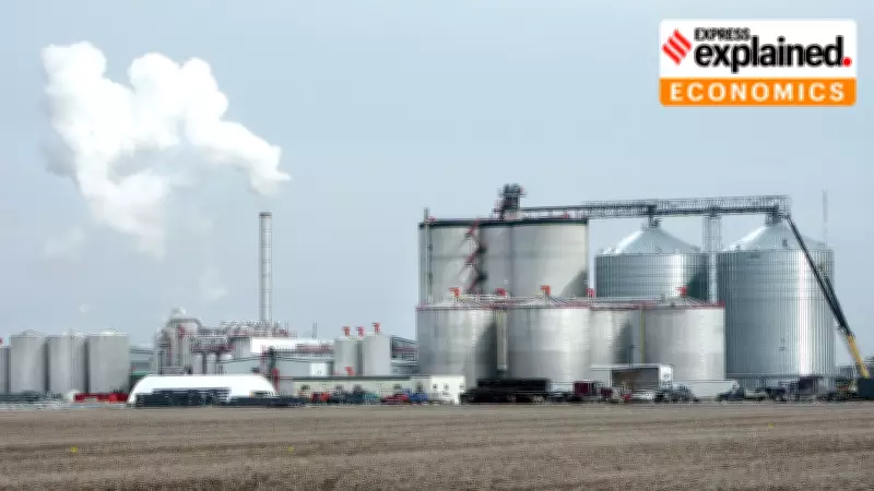 US Farm Exports to India Surge Without Trade Deal, Deficit Narrows